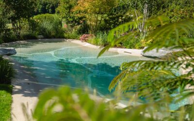 Pool-Infotag in Hochwald