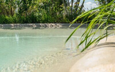 Pool-Infotag in Hochwald