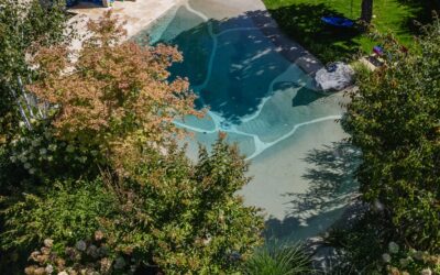 Pool-Infotag in Hochwald