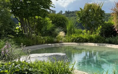 Pool-Infotag in Hochwald